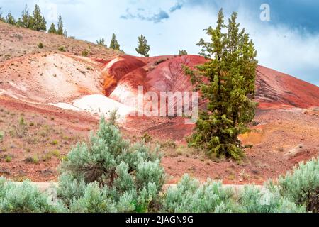 Wunderschöne, malerische und farbenfrohe Painted Hills aus Oregon, USA. Wüstenlandschaft mit grauen Wolken. Natürliche Landbildung, Geologie. Stockfoto