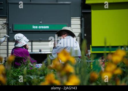 Kew Gardens im Frühsommer 2022 Stockfoto