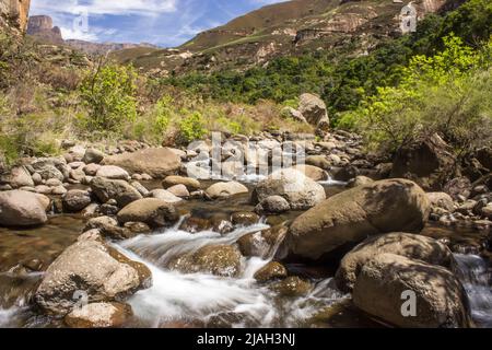 Der Injisuti River, auch bekannt als Little Tugela, fließt an einem sonnigen Tag in den Drakensberg Mountains in Südafrika schnell über abgerundete Felsbrocken Stockfoto