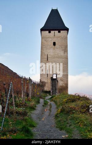 Weg, der an einem Herbsttag zu einem weißen Turm in einem Weinberg auf einem Hügel oberhalb von Bacharach führt. Stockfoto