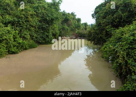 Katastrophale Ansicht der Amazonas-Waldbäume und des Flusses mit Quecksilber kontaminiertem Wasser aus illegalem Goldabbau im Amazonas-Regenwald, Brasilien. Stockfoto