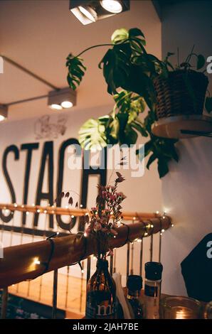 Boho Stil schöne Innenausstattung des Cafés in Amsterdam Niederlande Stockfoto