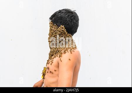 Das Gesicht des Menschen ist von Bienen bedeckt Stockfoto