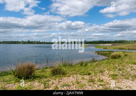 Blashford Lakes Nature Reserve, Blick vom Ivy Hide im Mai, Hampshire, England, Großbritannien Stockfoto