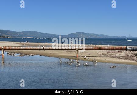 SANTA BARBARA, KALIFORNIEN - 10. APRIL 2019: Pipeline über Mission Creek mit Menschen am Strand und Möwen im Wasser. Stockfoto