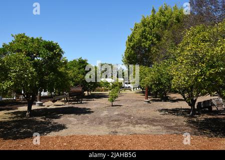 SANTA ANA, KALIFORNIEN - 15. APRIL 2017: Obstgarten im Heritage Museum of Orange County. Das Museum ist der Erhaltung, Förderung und Restaurierung gewidmet Stockfoto