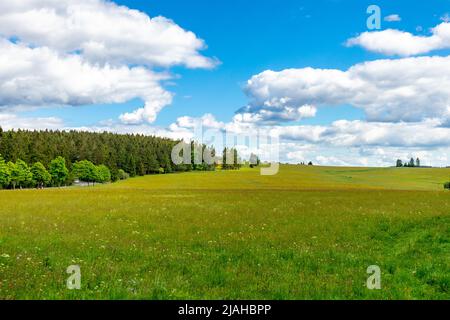 Unterwegs auf den Höhen des Thüringer Waldes bei Neustadt am Rennsteig - Thüringen - Deutschland Stockfoto