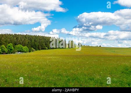 Unterwegs auf den Höhen des Thüringer Waldes bei Neustadt am Rennsteig - Thüringen - Deutschland Stockfoto