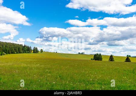 Unterwegs auf den Höhen des Thüringer Waldes bei Neustadt am Rennsteig - Thüringen - Deutschland Stockfoto