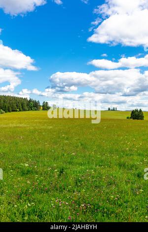 Unterwegs auf den Höhen des Thüringer Waldes bei Neustadt am Rennsteig - Thüringen - Deutschland Stockfoto