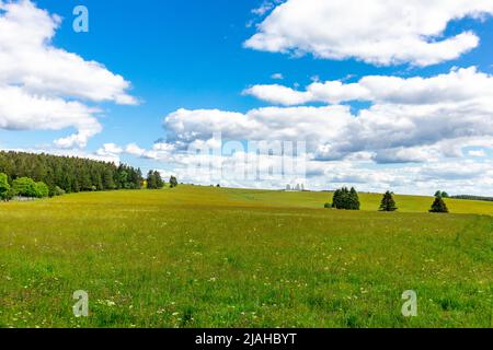 Unterwegs auf den Höhen des Thüringer Waldes bei Neustadt am Rennsteig - Thüringen - Deutschland Stockfoto