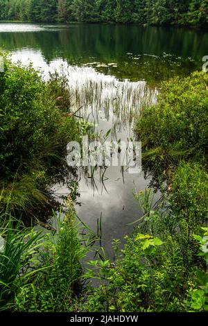 Vertikaler Blick auf Lake Mayflower, umgeben von üppigem Grün im Arrowhead Provincial Park nördlich von Huntsville, Ontario, Kanada Stockfoto