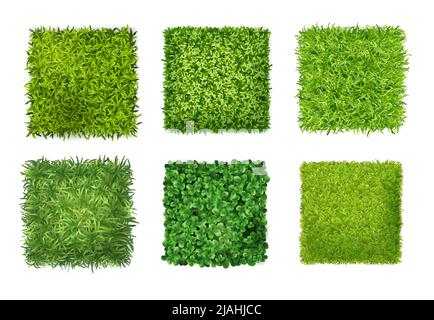 Bodenabdeckung Pflanzen Hintergrund Textur 6 realistische quadratische Symbole mit grünem Gras Kleeblätter Vektor-Illustration gesetzt Stock Vektor