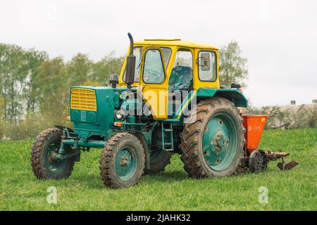 Der alte Bauerntraktor Weißrussland auf dem grünen Gras auf dem landwirtschaftlichen Feld im Frühling bereit für das Pflügen und die Aussaat Stockfoto