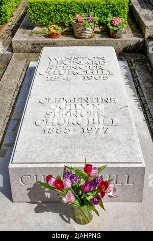 BLADON OXFORDSHIRE PFARRKIRCHE ST. MARTIN TULPEN IM FRÜHJAHR UND DER GRABSTEIN FÜR WINSTON UND CLEMENTINE SPENCER CHURCHILL GRAVIERT Stockfoto