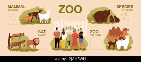 Zoo Infografik Set mit Katzenfamilie und Besucher flache Vektor-Illustration Stock Vektor