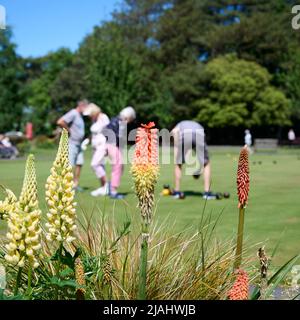 Eine Gruppe älterer Menschen spielt Crown Green Bowling in Lowther Gardens, Lytham, Großbritannien Stockfoto