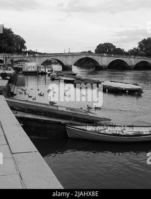 Richmond, Greater London, England, Mai 18 2022: Gänse um Boote, die auf der Themse festgemacht sind. Stockfoto