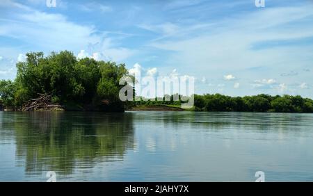 Geographie, Potamologie. Mittelsibirien (Südteil). Panorama von mächtigen Flüssen, Taigawald. Anhäufung von Baumstämmen nach Hochwasser (auf der Insel). Stockfoto