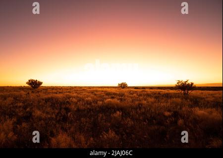 Wunderschöner Sonnenuntergang über der malerischen kalahari-Landschaft in Namibia Stockfoto