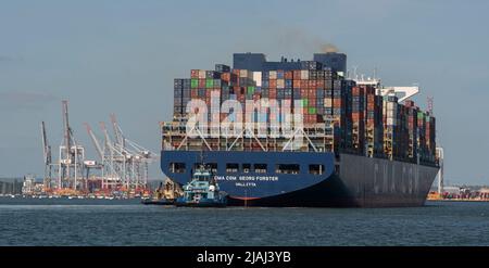 Southampton Port, England, Großbritannien. 2022. Großes Containerschiff, die Georg Forster nähert sich DP World Containerhafen mit Schlepper in Anwesenheit Stockfoto