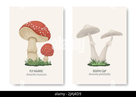 Vektor Giftige, Ungenießbare Pilze. Handgezeichnetes Set Aus Cartoon-Pilzen. Verschiedene Pilze isoliert auf Weiß. Fliegenpilz, Amanita Muscaria, Todeskappe Stock Vektor