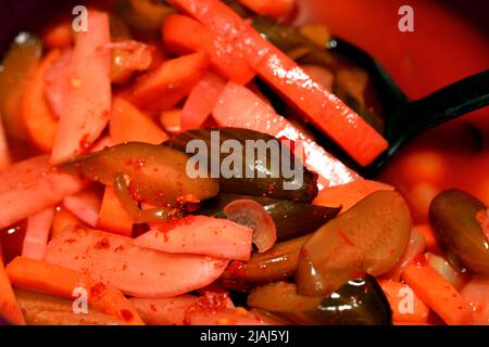 Nahaufnahme von mariniertem Gemüse (Torshi) oder gemischtem eingelegtem Gemüse von in Scheiben geschnittenen Gurken, Karotten, Rüben, Rüben, Zwiebeln, Rote Paprika und Salz, Egyp Stockfoto