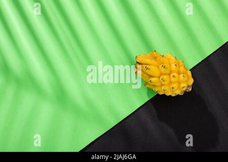 Selenicereus Megalanthus - Pitahaya Oder Dragon Fruit Gelb Farbe Stockfoto