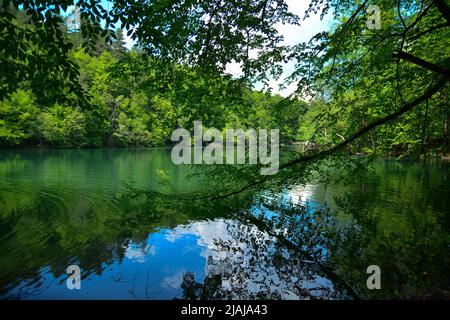 Yedigoller (Yedigöller) oder Seven Lakes National Park.Bolu Türkei Stockfoto