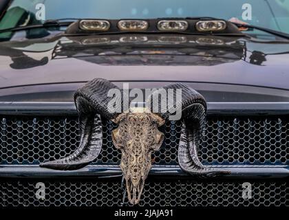 ATLANTA, GEORGIA - 5. Dezember 2021: Koffein und Octane ist eine national anerkannte Auto-Show, die monatlich stattfindet und Hunderte von klassischen und Muskelkater zeigt Stockfoto