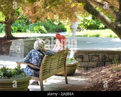 Rückansicht der älteren Weibchen, die auf der Bank im Garten sitzen Stockfoto