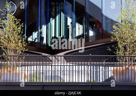 Teil eines modernen Glasgebäudes mit großen Glasfenstern, der über einem Gang/einer Brücke liegt Stockfoto