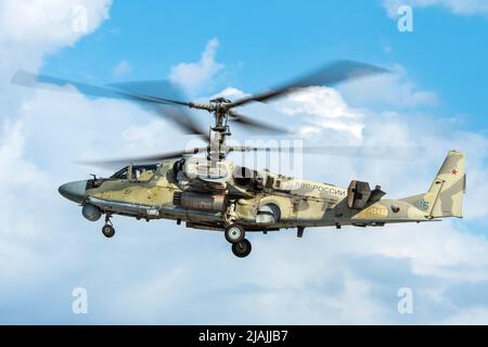 Russische Luft- und Raumfahrtkräfte Ka-52 greifen Hubschrauber im Flug an, Russland. Stockfoto