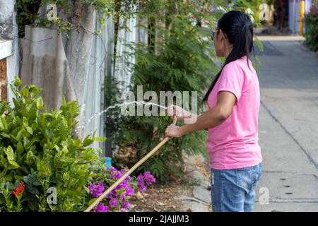 Eine junge Frau, die auf der Straße in Thailand tropische Pflanzen wässert. Stockfoto