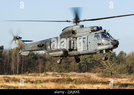 Ein Transporthubschrauber der Royal Netherlands Air Force AS532 Cougar während eines Trainingsfluges, Niederlande. Stockfoto