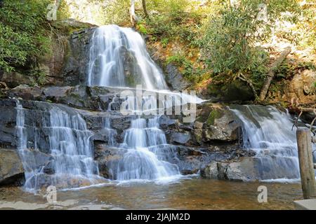 Laurel Falls - Great Smoky Mountains NP, Tennessee Stockfoto