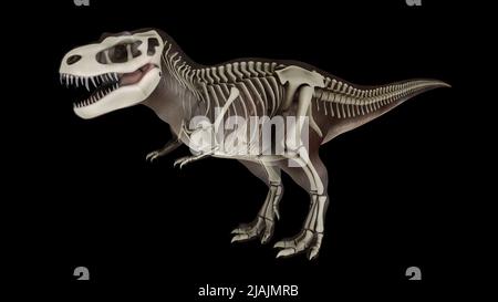 3D Abbildung des Tyrannosaurus rex, mit Überlagerung des Skelettsystems. Stockfoto