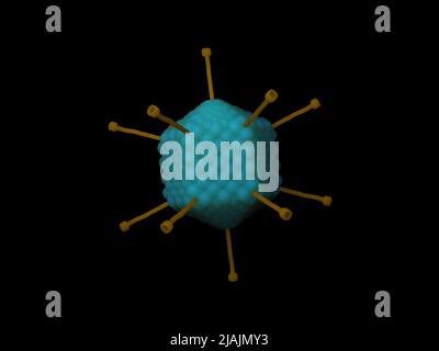 Konzeptionelle biomedizinische Illustration eines Adenovirus auf schwarzem Hintergrund. Stockfoto