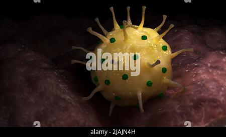 Konzeptionelle biomedizinische Illustration von Herpes genitalis auf der Oberfläche. Stockfoto