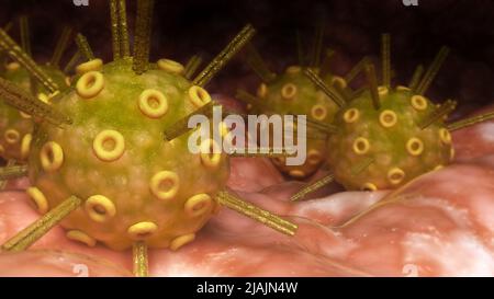 Konzeptionelle biomedizinische Illustration des Herpes-simplex-Virus an der Oberfläche. Stockfoto