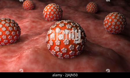 Konzeptionelle biomedizinische Illustration von Genitalwarzen an der Oberfläche. Stockfoto