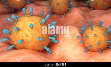 Konzeptionelle biomedizinische Illustration des Masernvirus an der Oberfläche. Stockfoto