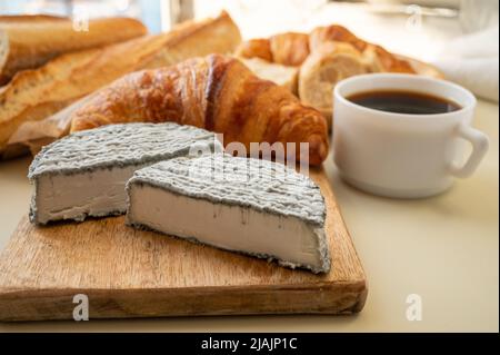 Französischer Ziegenkäse selles-sur-cher und frische Croissants aus nächster Nähe Stockfoto