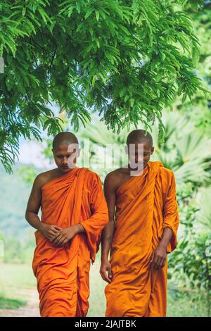 An Giang, Vietnam - 02. Mai 2022 : Junge Mönche (Novizen) gingen auf einem grünen Pfad. Menschen und religiöse Konzept. Stockfoto