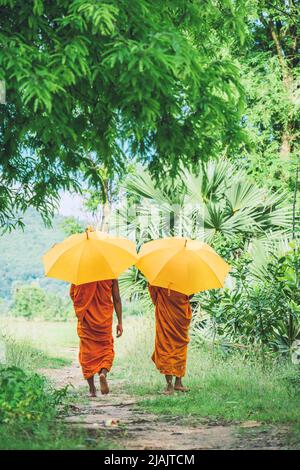 An Giang, Vietnam - 02. Mai 2022 : Junge Mönche (Novizen) gingen auf einem grünen Pfad. Menschen und religiöse Konzept. Stockfoto