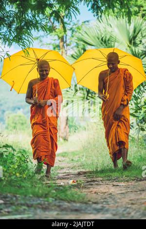 An Giang, Vietnam - 02. Mai 2022 : Junge Mönche (Novizen) gingen auf einem grünen Pfad. Menschen und religiöse Konzept. Stockfoto