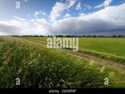 27. Mai 2022, Brandenburg, Lenzen (Elbe): Eine Frau fährt mit dem Fahrrad durch die Elbwiesen auf dem Deich nahe der Fähranlegestelle Pevestorf-Lenzen. Bis zur Wochenmitte wird es in Berlin und Brandenburg allmählich wieder wärmer. Nach Angaben des Deutschen Wetterdienstes (DWD) in Potsdam werden die Temperaturen am Montag von 13 bis 17 Grad auf bis zu 21 Grad am Dienstag und bis zu 24 Grad am Mittwoch ansteigen. Sonne und Wolken wechseln sich nach Angaben der Meteorologen ab und ab und zu gibt es Schauern. Foto: Soeren Sache/dpa Stockfoto