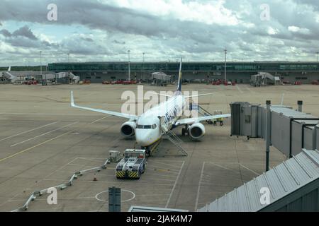 Das Ryanair-Flugzeug am Flughafen London-Stansted ist auf Asphalt, während das Fahrzeug das Flugzeug betankt Stockfoto