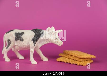 Miniatur einer Kuh und Cracker vor einem violetten Hintergrund. Weiße Plastikminiatur eines Wiederkäuers mit schwarzen Flecken. Rechteckiger knuspriger Cracker Stockfoto