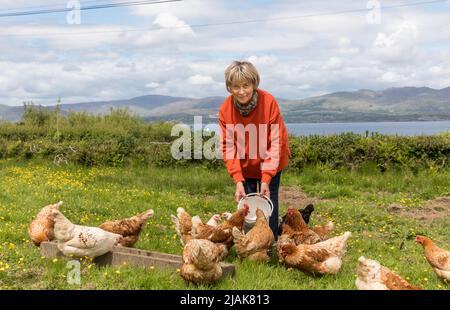 Goat's Path, Bantry, Cork, Irland. 30.. Mai 2022. Mary O'Brien füttert ihre freilaufenden Hühner auf ihrer Farm auf dem Ziegenpfad, Bantry, Co. Cork, Irland. - Credit; David Creedon / Alamy Live News Stockfoto